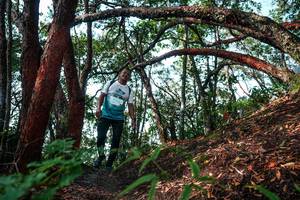 BIB: 
                            <button type="button" onclick="openModal(26345418)" class="btn btn-primary btn-sm float-right btn-popup" data-toggle="modal" data-target=".modal-high-quality">
                        <i class="fas fa-shopping-cart"></i> Add to Cart
                    </button>
                                            <button type="button" onclick="isThisMe(26345418, true)" class="btn btn-success btn-sm float-right btn-popup btn-isme hidden" data-toggle="tooltip" data-placement="bottom" title="นี่คือรูปของคุณใช่ไหม คลิกที่นี่เพื่อเอาเข้าอัลบั้ม">
                        <i class="fas fa-plus"></i> Add to album
                    </button>
                    <button type="button" onclick="isThisMe(26345418, false)" class="btn btn-warning btn-sm float-right btn-popup btn-isnotme hidden">
                        <i class="fas fa-ban"></i> Remove from album
                    </button>